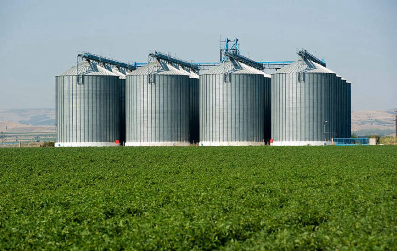 Consultoria para Agronegócio Consultoria para Agronegócio