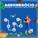 CONTABILIDADE NO AGRONEGÓCIO