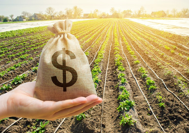 LCA - INVESTIMENTO EM AGRO